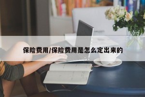 保险费用/保险费用是怎么定出来的