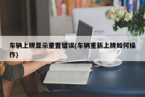 车辆上牌显示重置错误(车辆重新上牌如何操作)