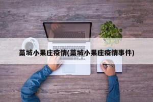 藁城小果庄疫情(藁城小果庄疫情事件)