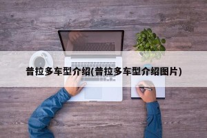 普拉多车型介绍(普拉多车型介绍图片)