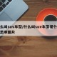 什么叫suv车型/什么叫suv车型是什么意思啊图片