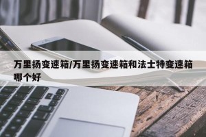 万里扬变速箱/万里扬变速箱和法士特变速箱哪个好